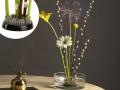Kenzan, spetsig groda Ikebana L